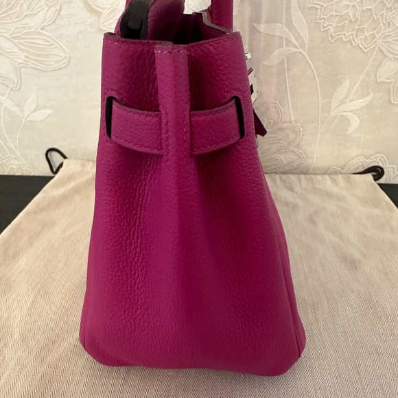 Hermes Birkin 30CM Magnolia Togo Leather with Palladium Hardware - Picture 8 of 16